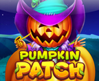 Pumpkin Patch